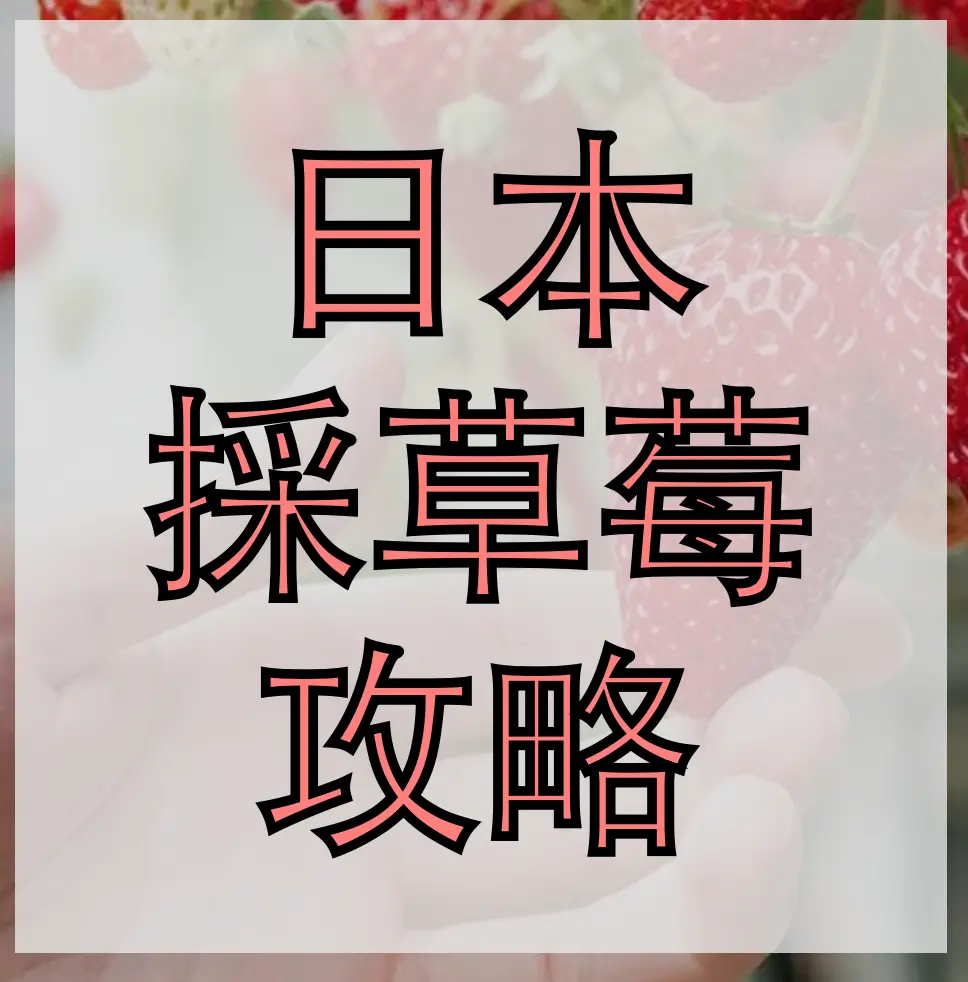 J-Tutor日語教室 J-Tutor日語教室